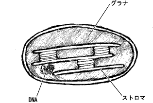 tΑ